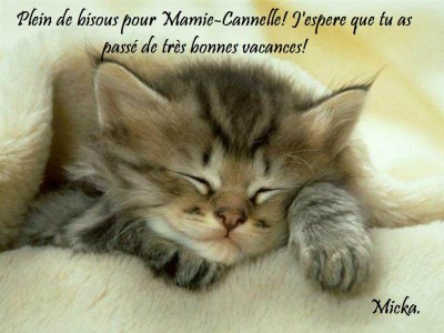 cadeau pour Mamie-Cannelle